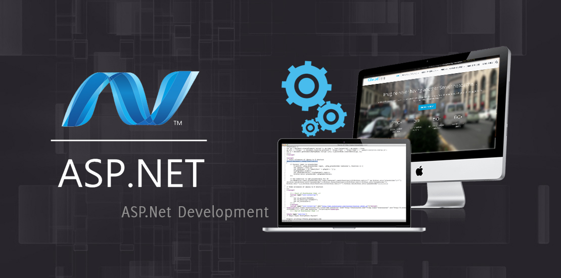 Asp.Net to Grow Online Business